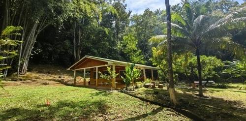 Pitzer in Costa Rica bamboo program house set in a lush forest